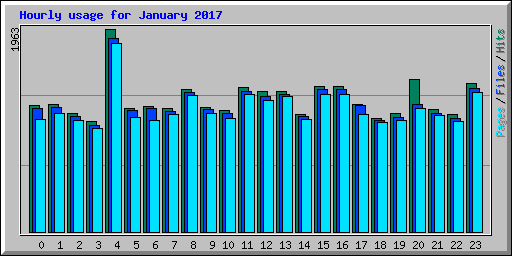 Hourly usage for January 2017