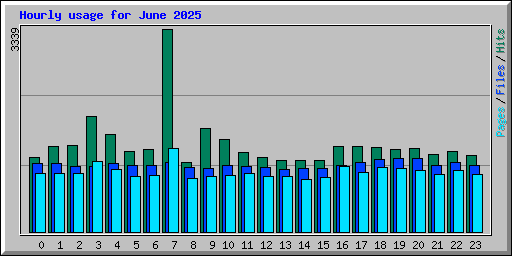 Hourly usage for June 2025