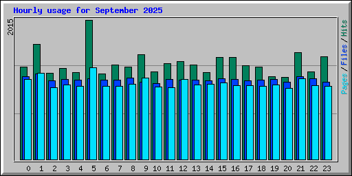 Hourly usage for September 2025