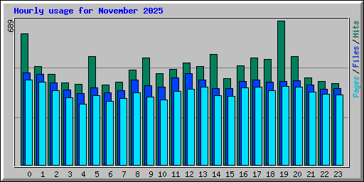 Hourly usage for November 2025